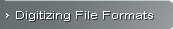 Digitizing File Formats